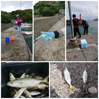 ゼンゴ釣り