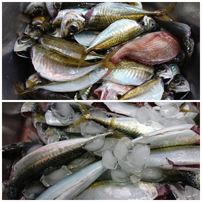 釣り行った～～