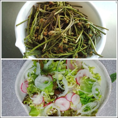 頂き物＾＾