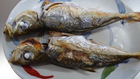 まいったな・・・・・