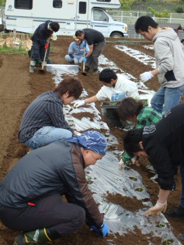 さくら畑・・・共生労働の巻♪