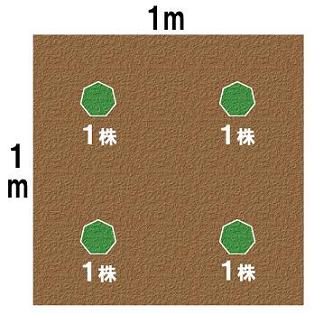 芝植えイベントのお知らせ
