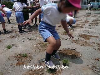 芝植えイベントのお知らせ