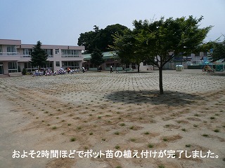 芝植えイベントのお知らせ