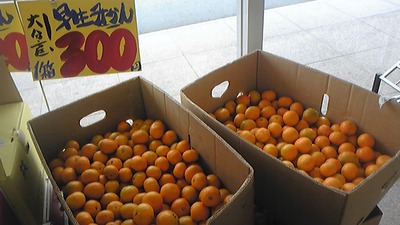 農業は大変だねー^_^;!