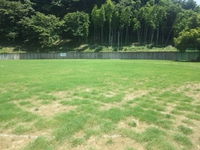 順調・順調！　(^^♪