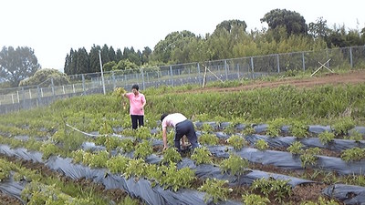 いただいてまーす♪
