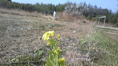 春だー活動開始ー♪