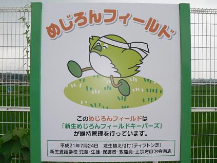めじろんフィールド その後
