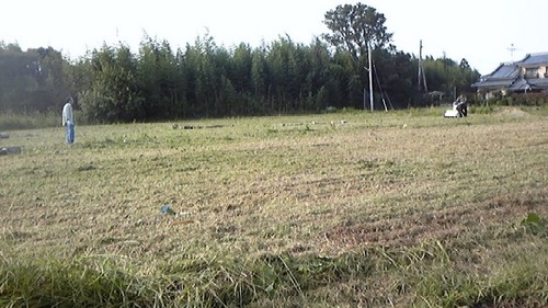 秘密のハンマーちゃん登場ーです。!