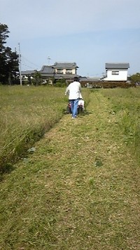 秘密のハンマーちゃん登場ーです。!