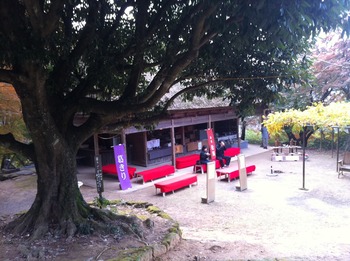 社員旅行in長崎 その①