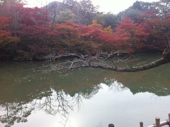 社員旅行in長崎 その①