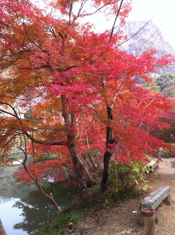 社員旅行in長崎 その①