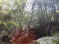 心身の疲れが取れない方のために・・・