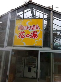 温室温泉で南国気分?!　お休みに温泉いってきました♪