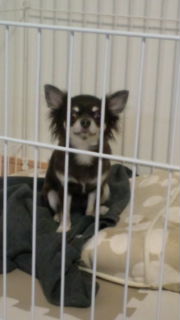 愛くるしい☆