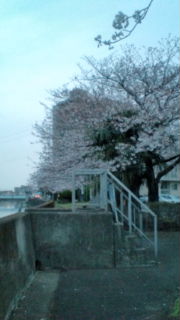 やはり雨…