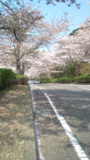 ドライブ