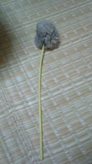 こんな時間から!?