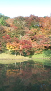 用作公園