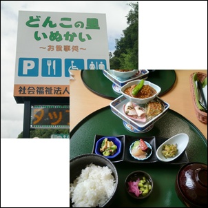 ワンコインランチ