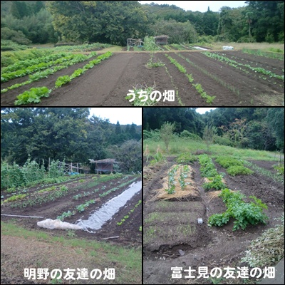 本格的に
