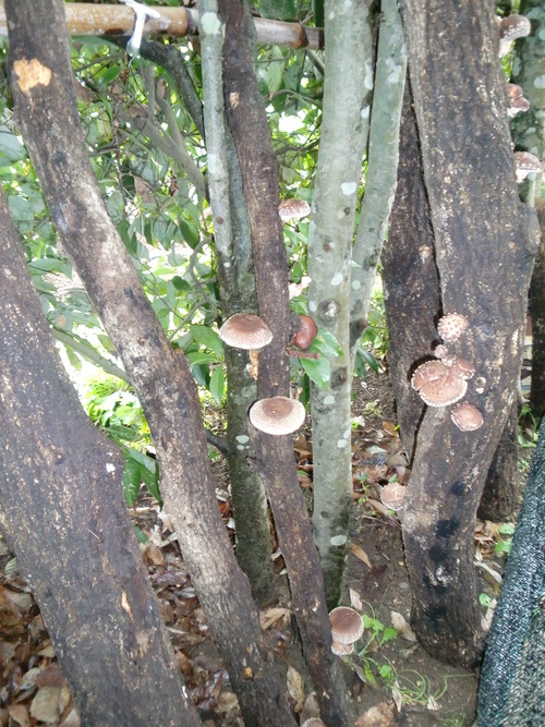 やっと雨があがった