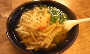 博士うどん
