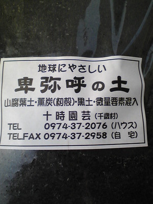 卑弥呼の土