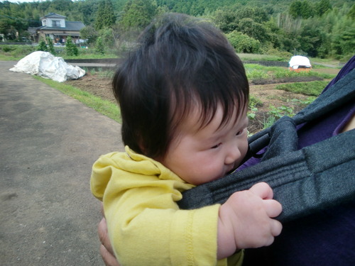 重くなった ヾ(≧へ≦)〃
