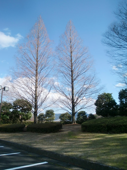 裸になっちゃった～