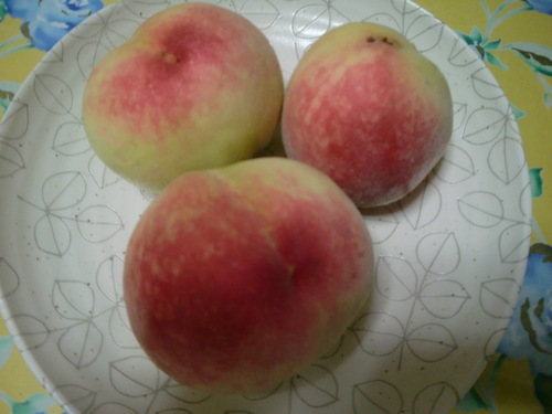 好い香り♪(* ̄ー ̄)v