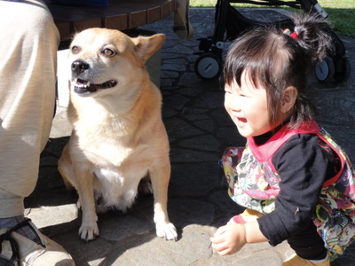 地獄へドライブ