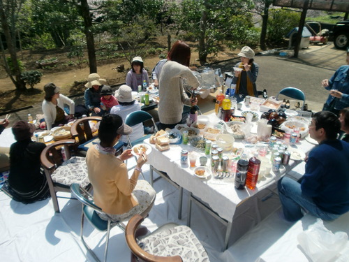 お花見日和(^^♪