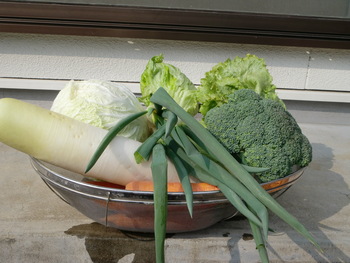 野菜もらいに行くから