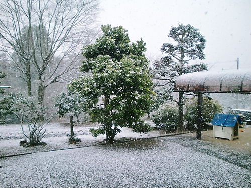 いつもの景色が