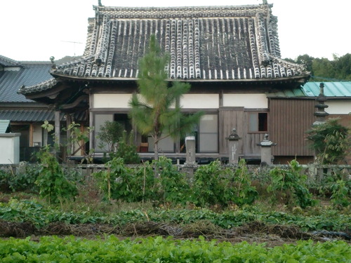 朝の香り