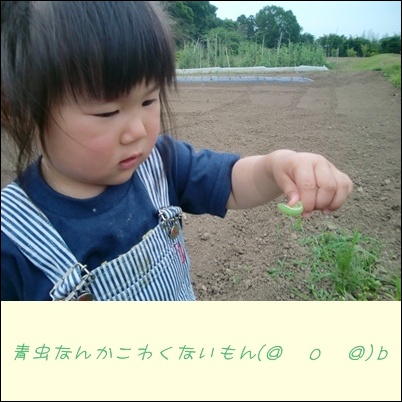 いい感触?@@