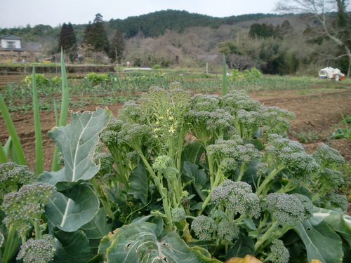 いつの間にか