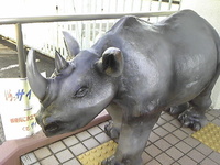 いらっサイ(〝⌒∇⌒〝)ｷｬﾊﾊﾊ!!