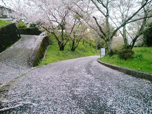 ありゃーo(´д`)oァーゥー