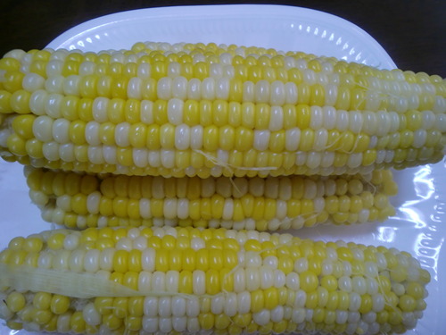 食べごろ