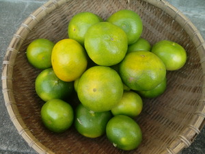 差し入れに
