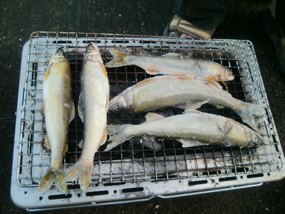 鮎の塩焼き