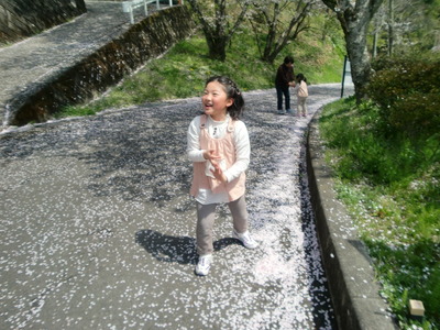 桜吹雪