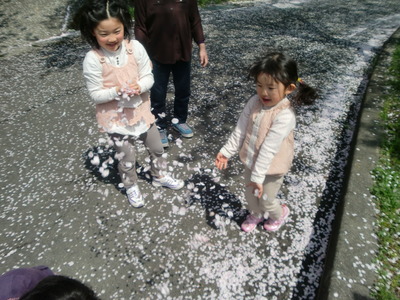 桜吹雪
