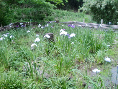 雨ばっか(*´ο`*)=3