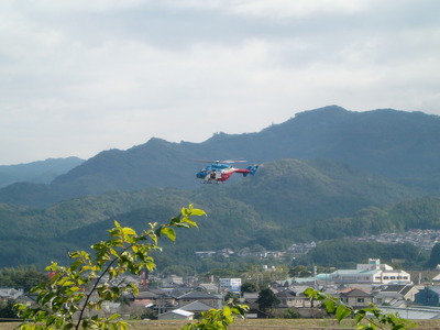 捜索