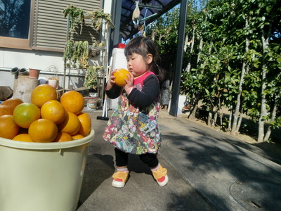 お手伝いのつもり(≧ω≦)b